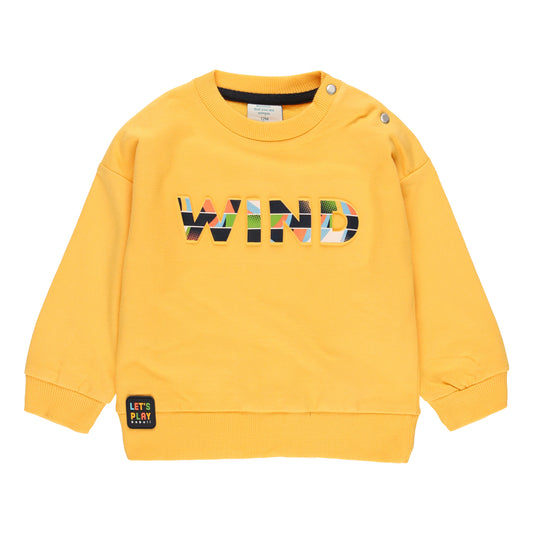 Conjunto sudadera con pants felpa mini niño