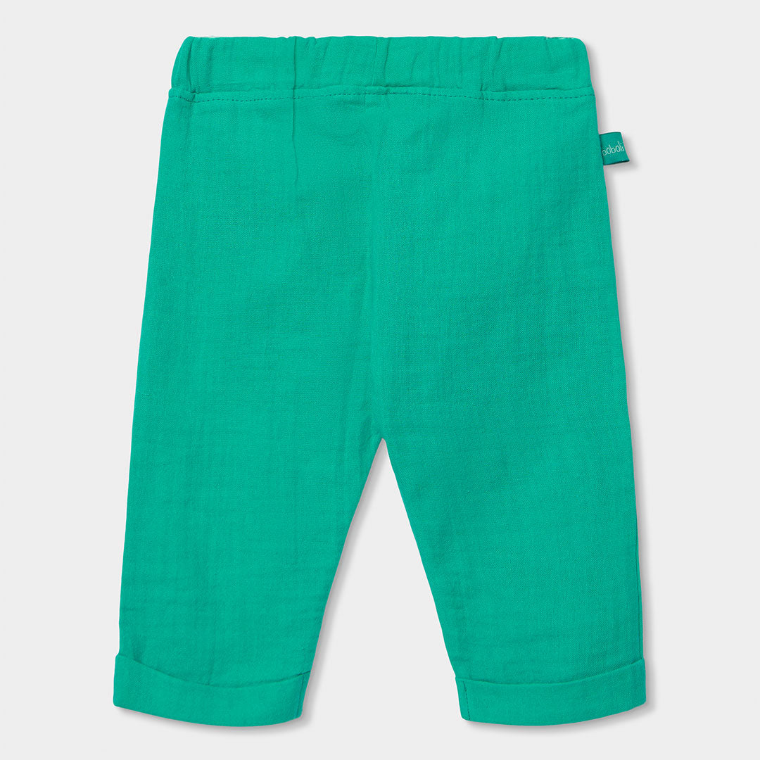 Conjunto aqua tigre bebé niño