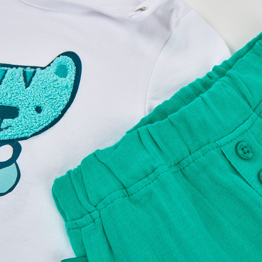 Conjunto aqua tigre bebé niño