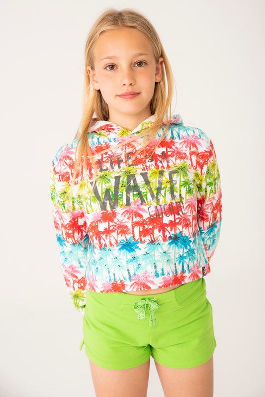 Sudadera cerrada colores con capucha niña jr